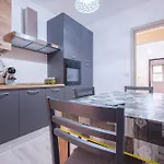 Damilhouse 1 *